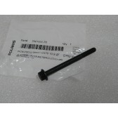 SCR-HXFL-M6X1.0X70 10.9 ZFB